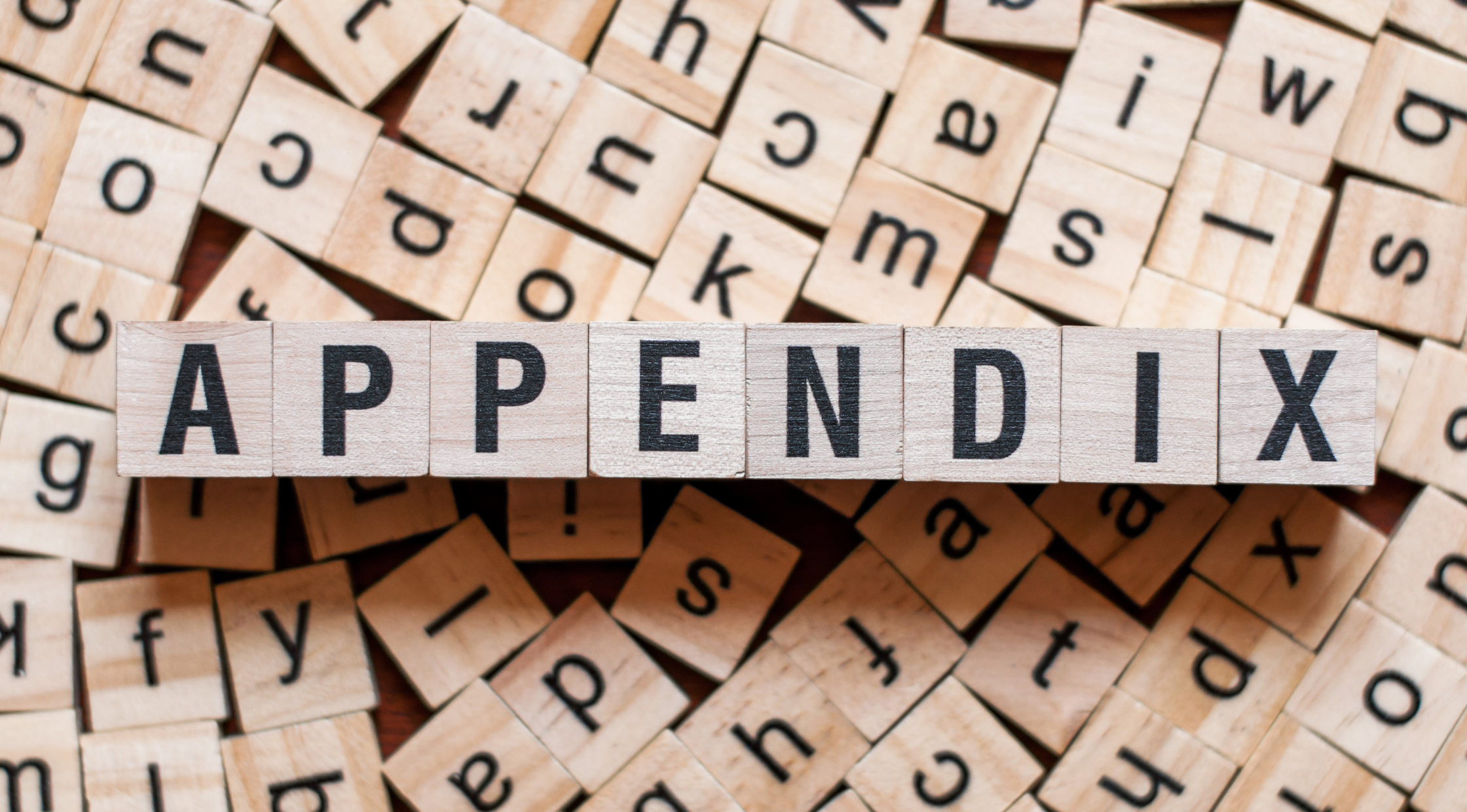 Appendix Meaning in Tamil